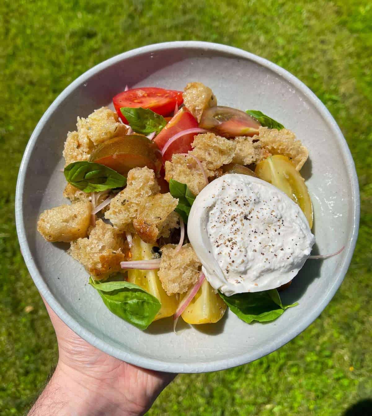 panzanella salad with burrata