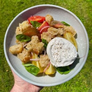 panzanella salad with burrata