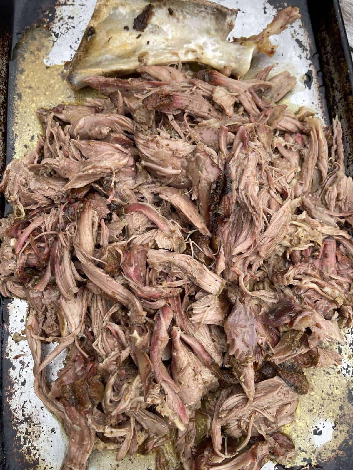 smoked lamb shawarma