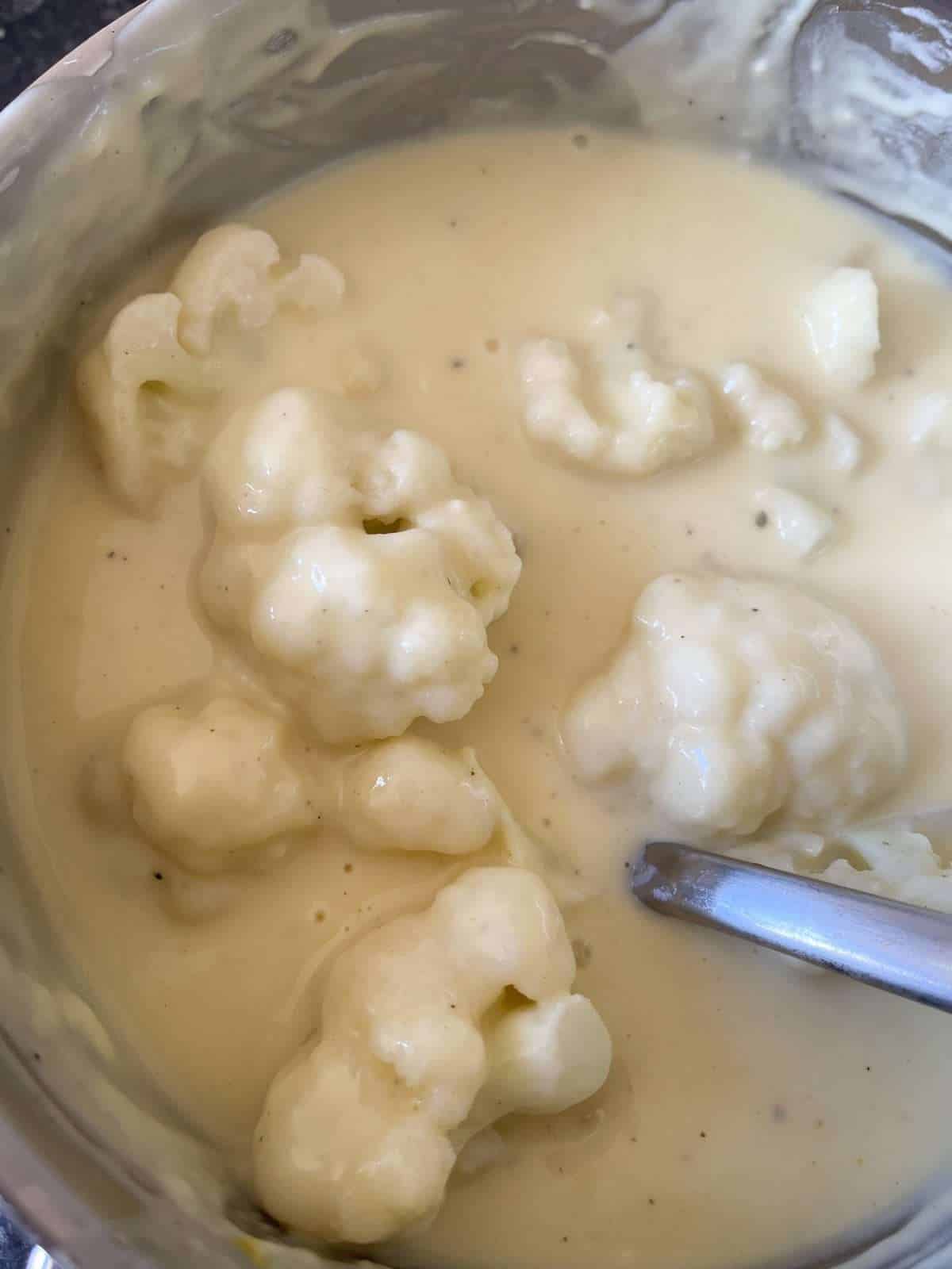 cauliflower in cheese sauce