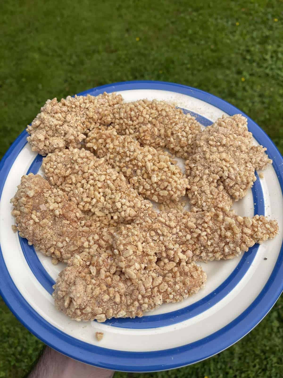 rice krispie coated chicken fillets