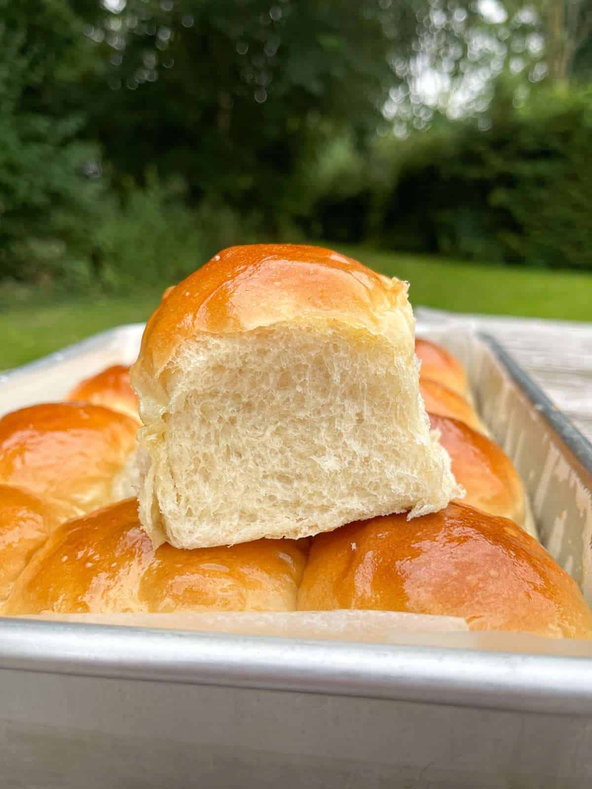 individual tangzhong dinner roll