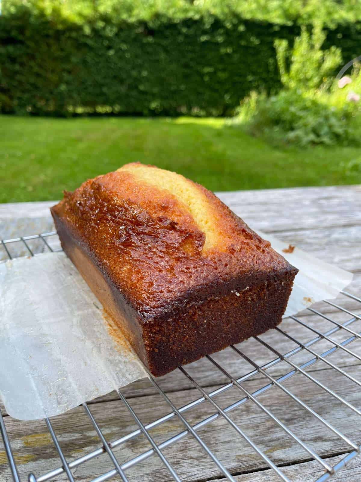 lemon loaf soaking in syrup