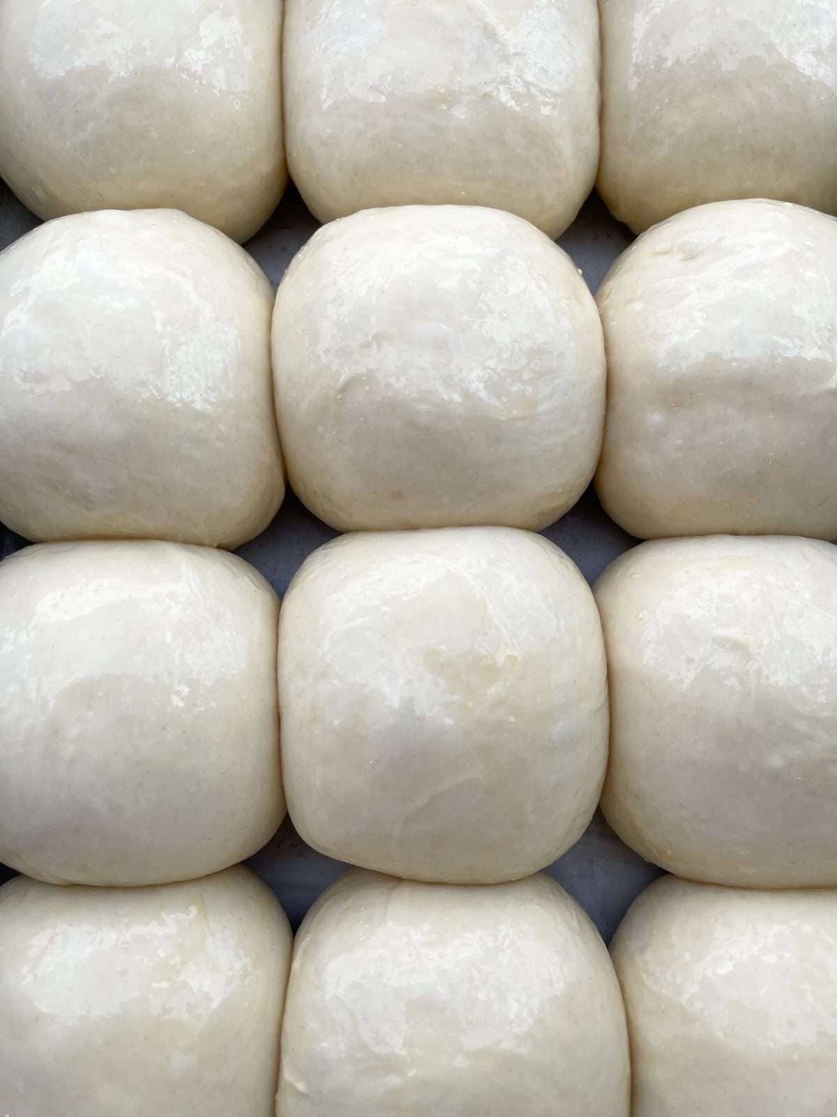proved tangzhong dinner rolls
