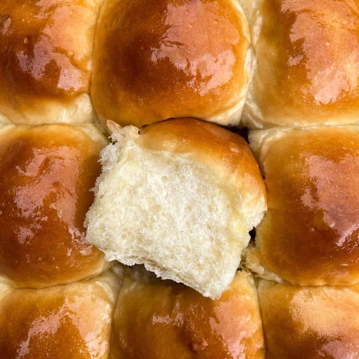 tangzhong dinner rolls