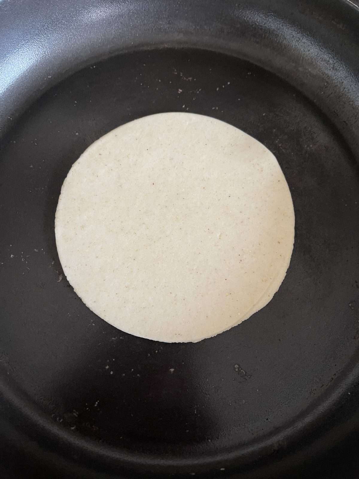 pressed tortilla dough