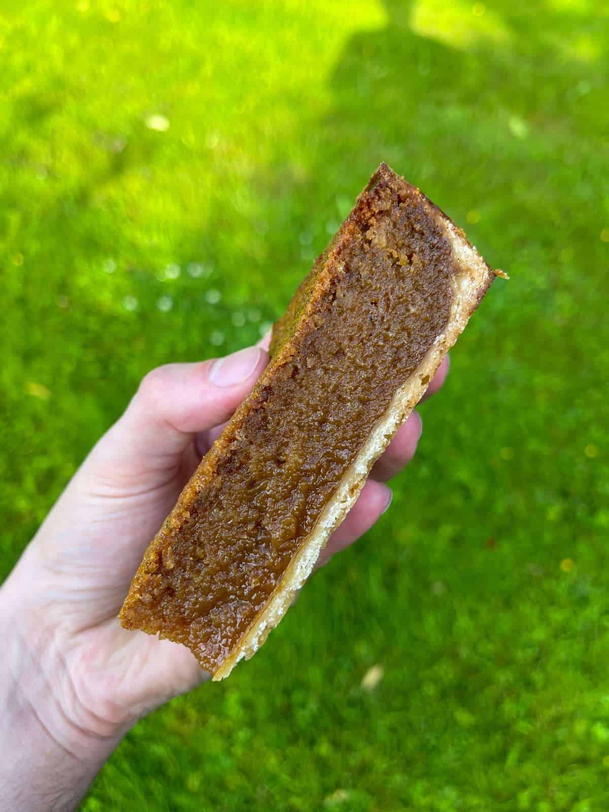 slice of cake crumb treacle tart