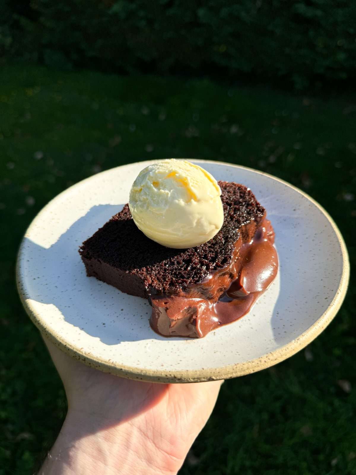 chocolate cake with ice cream