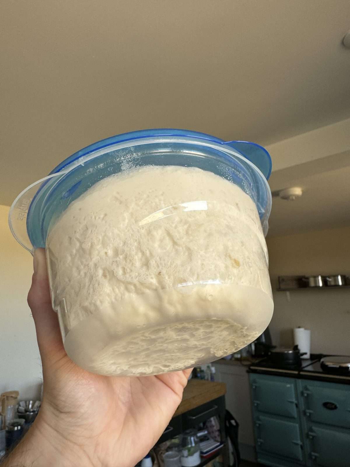fermented biga potato pizza dough