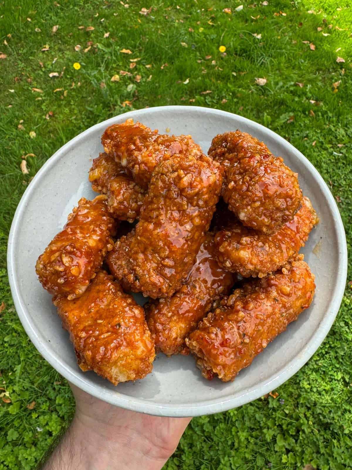 fried mozzarella sticks