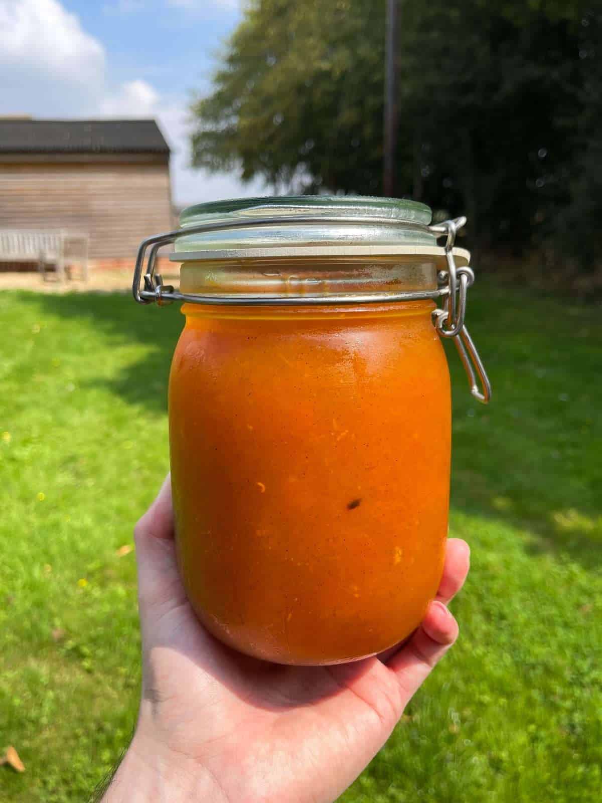 jar of apricot & vanilla jam