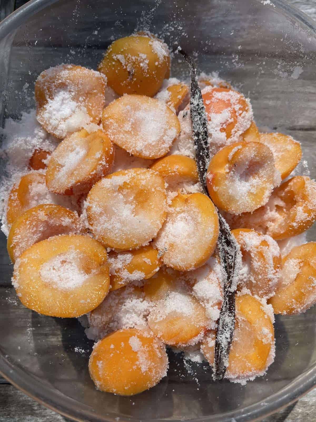macerated apricots with vanilla bean