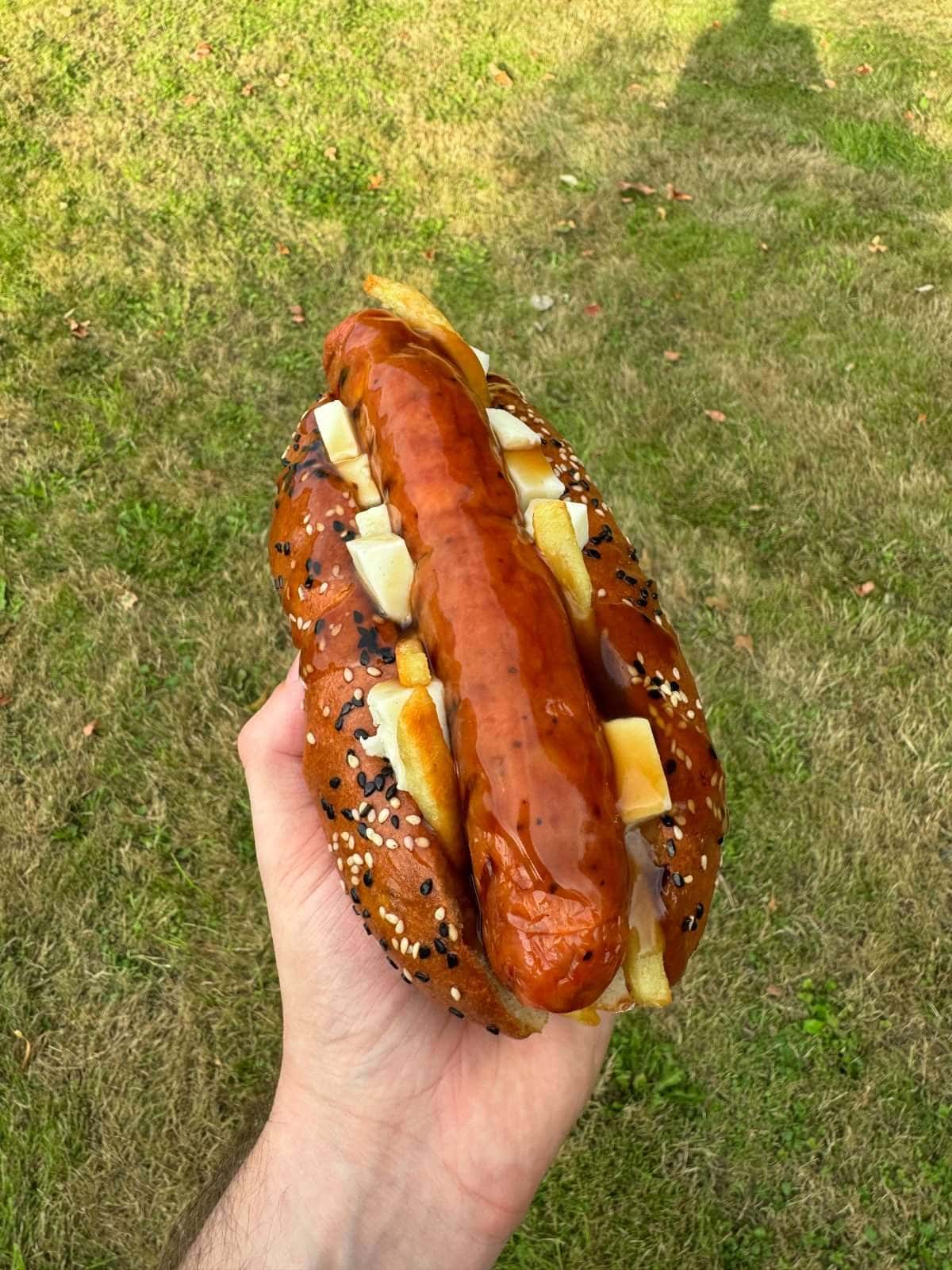 poutine hot dog