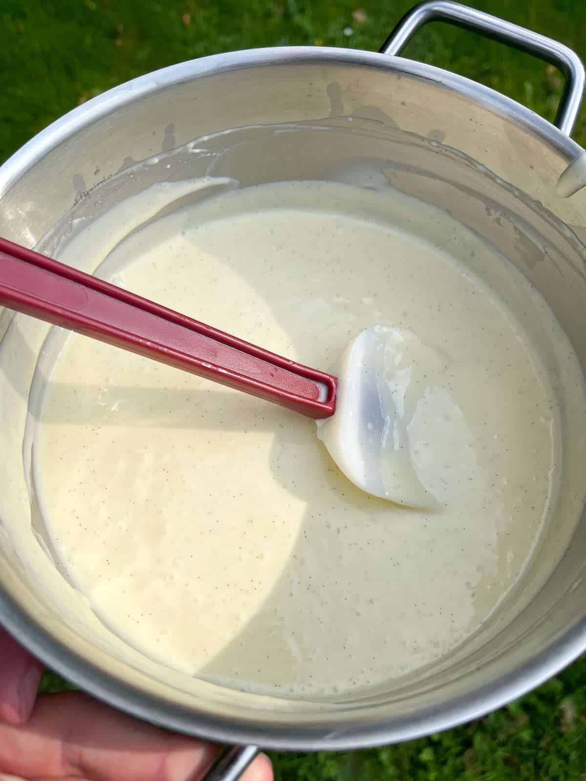 cooked & blitzed vanilla custard