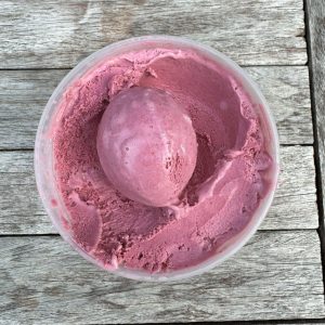 blackberry frozen yogurt