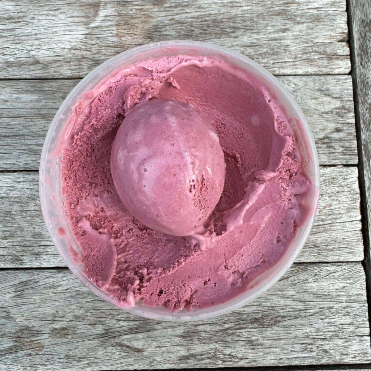 blackberry frozen yogurt