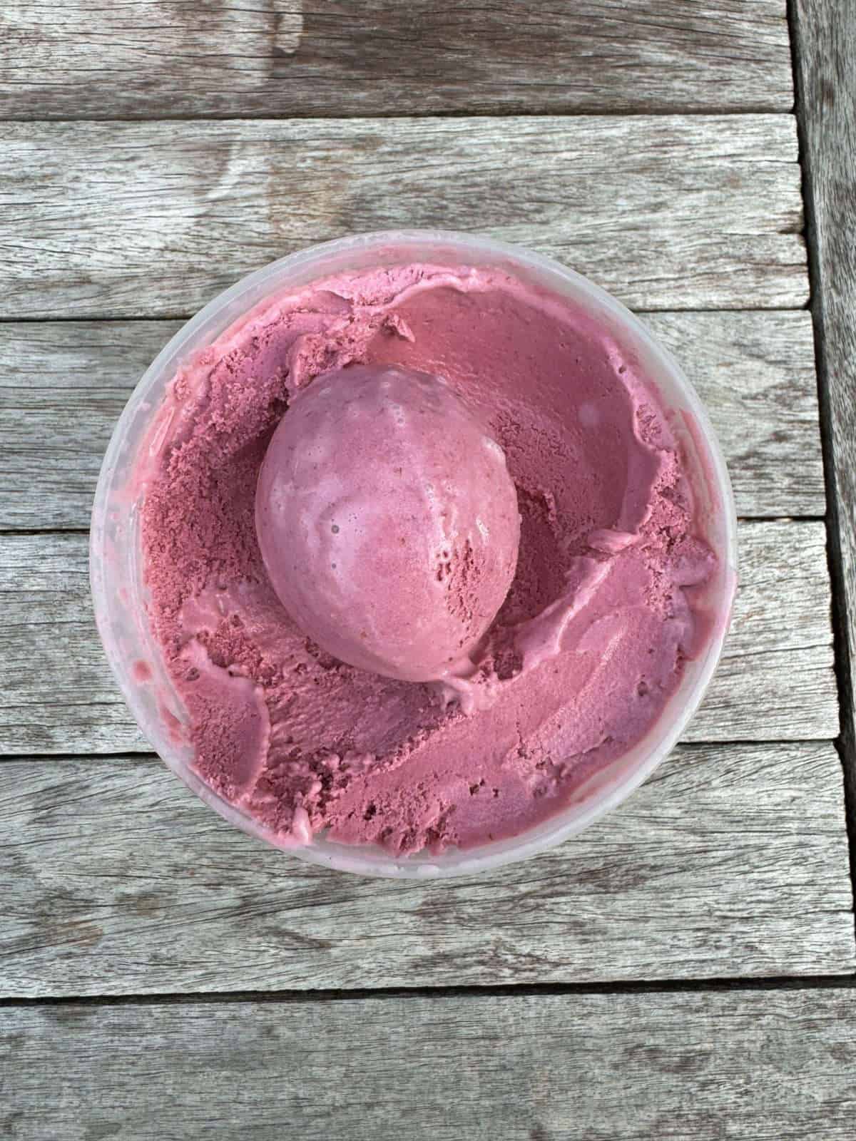 scoop of blackberry frozen yogurt