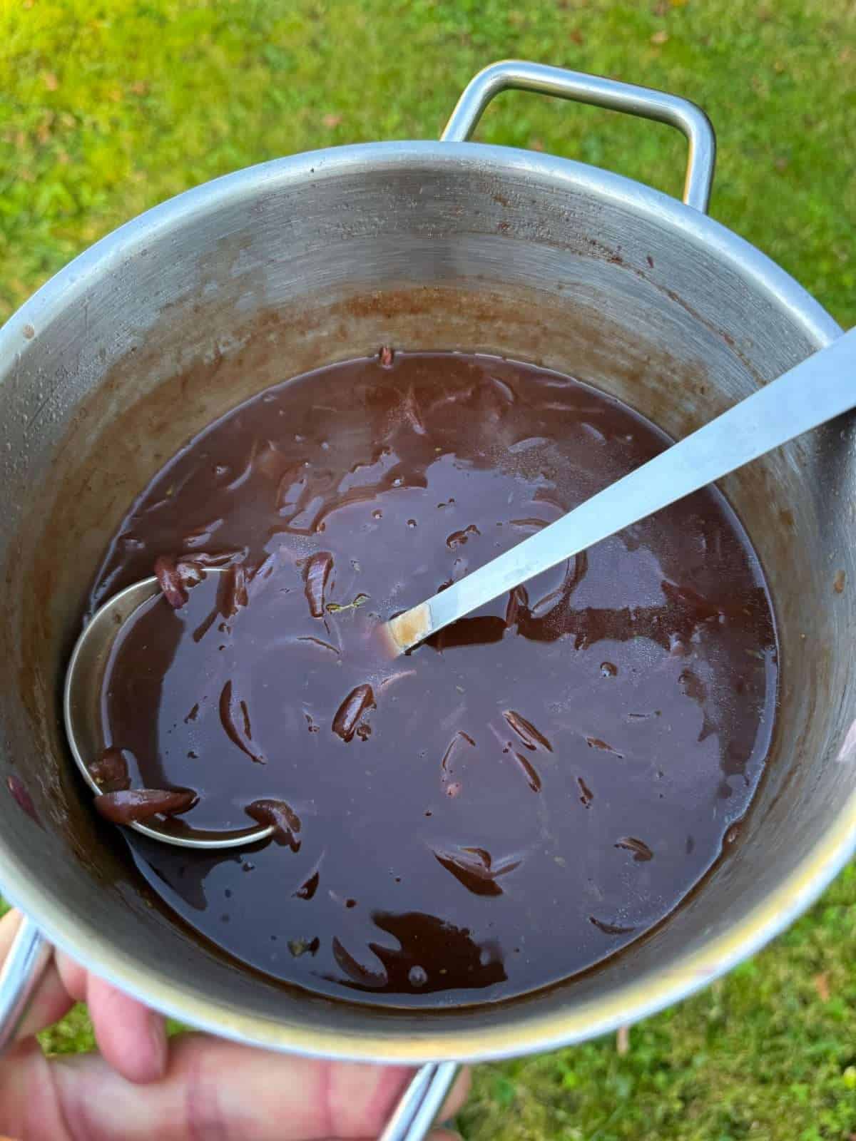 caramelised onion & red wine gravy