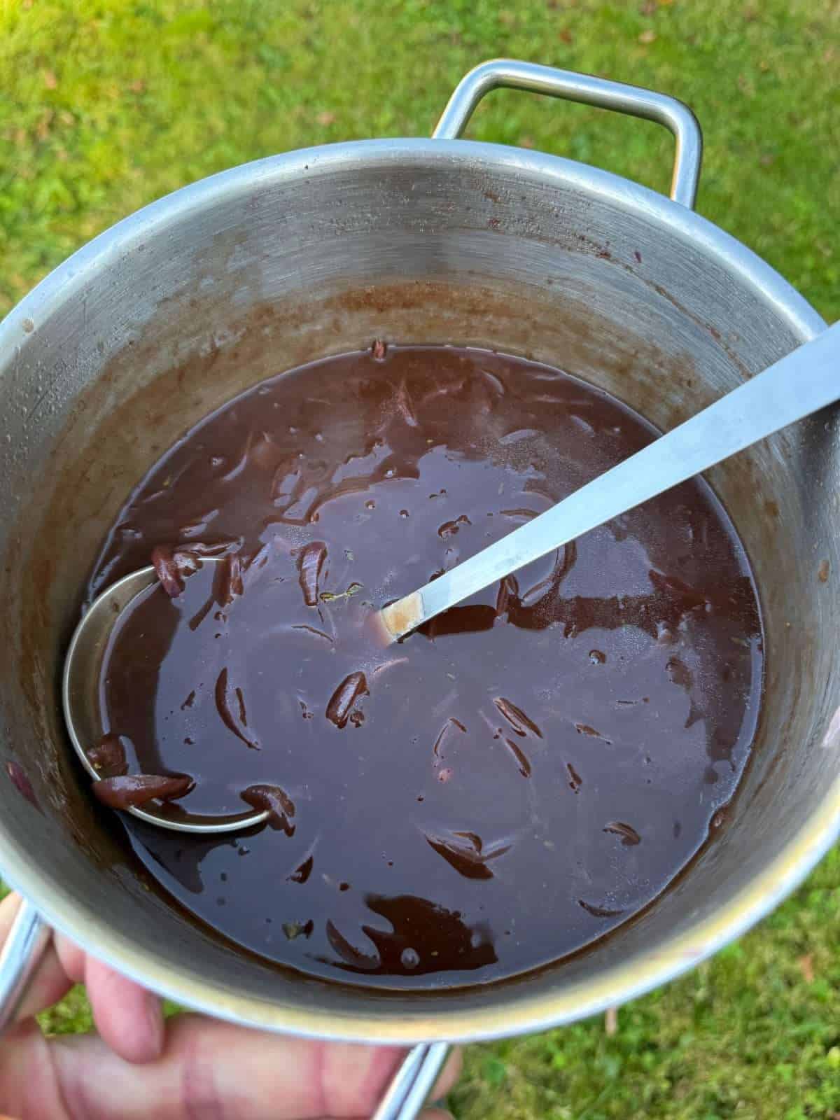 homemade caramelised onion gravy