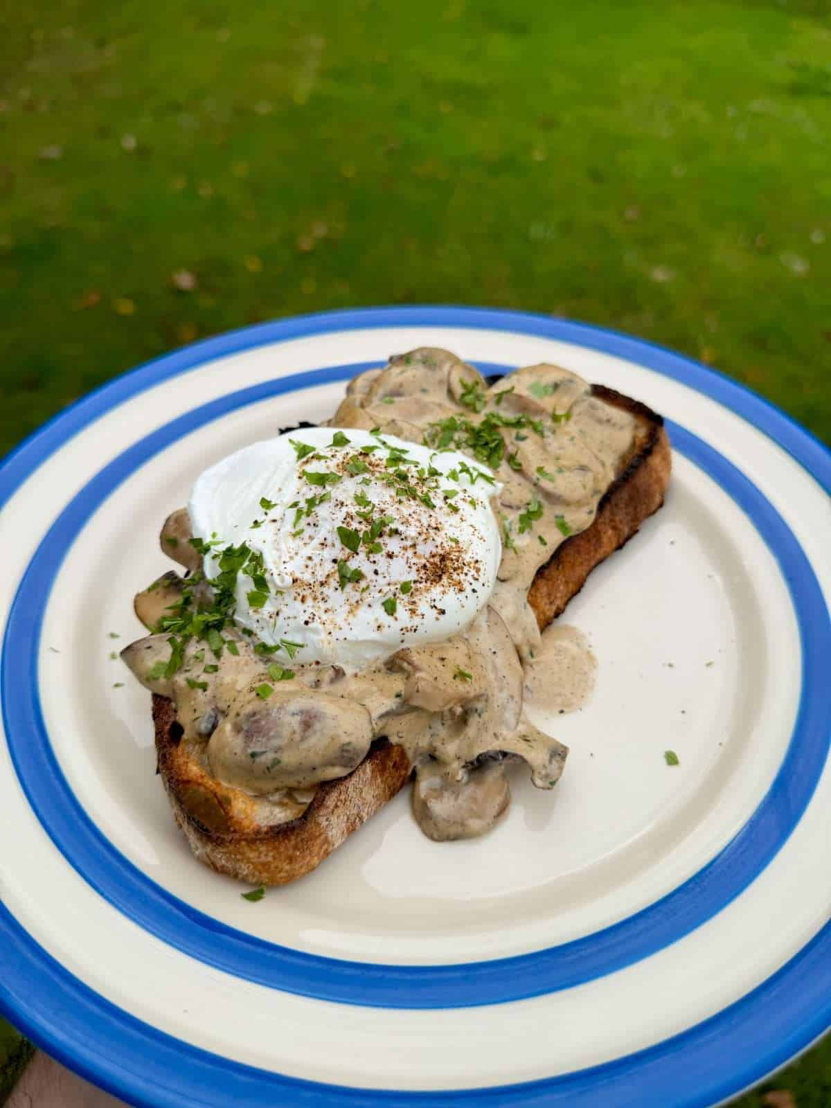 mushrooms on toasted with egg