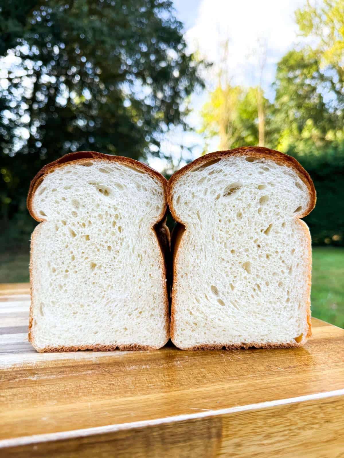 potato sandwich bread