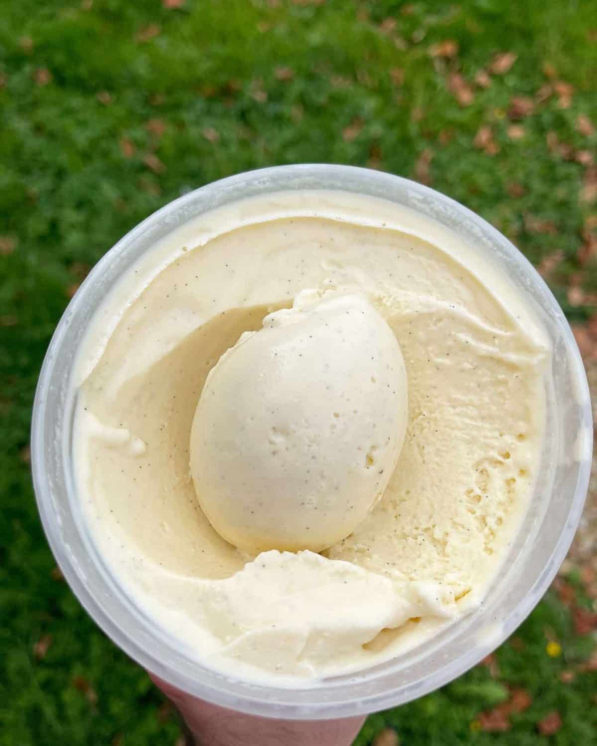 vanilla ice cream