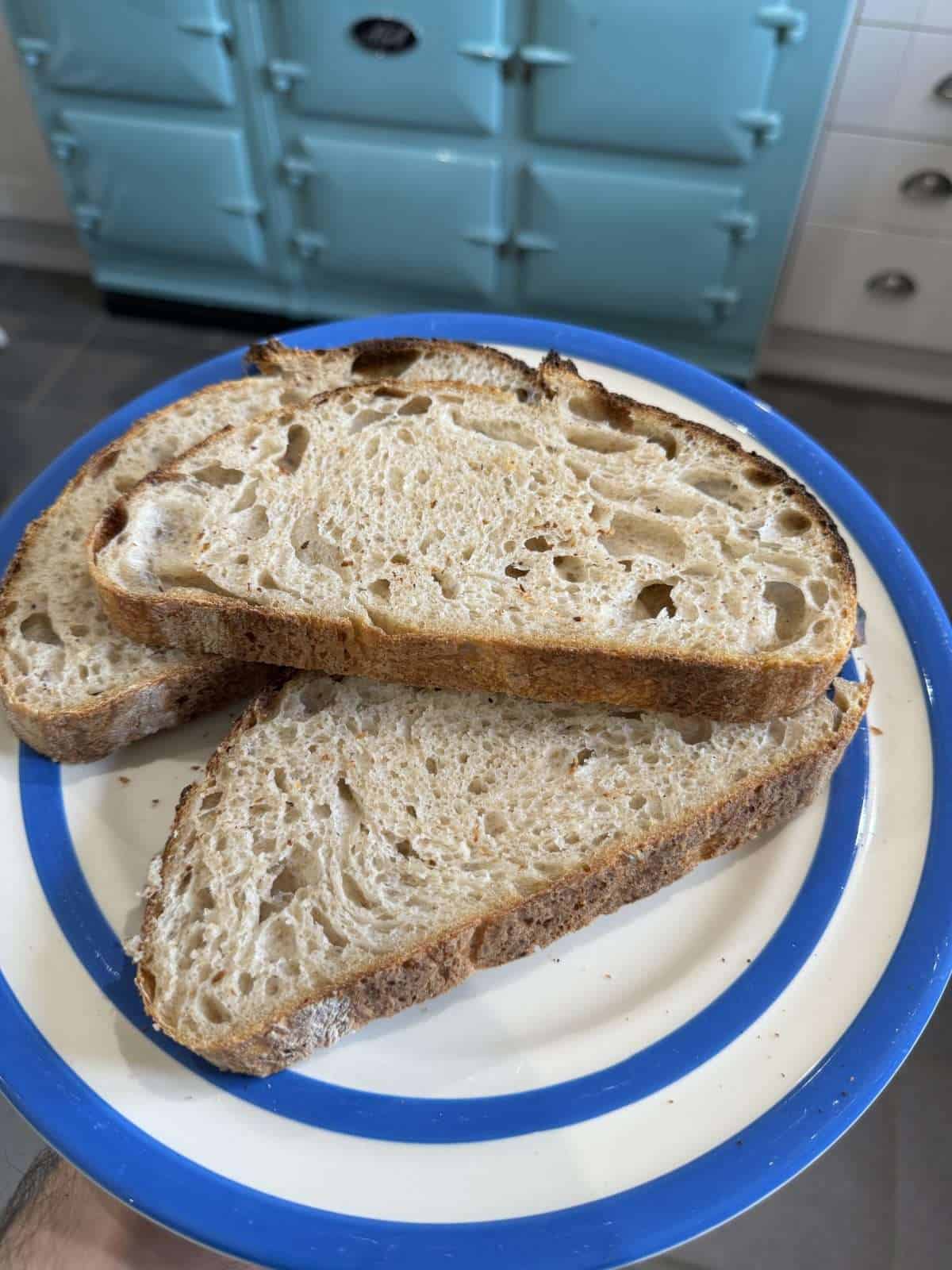 thick slices of sourdough bread
