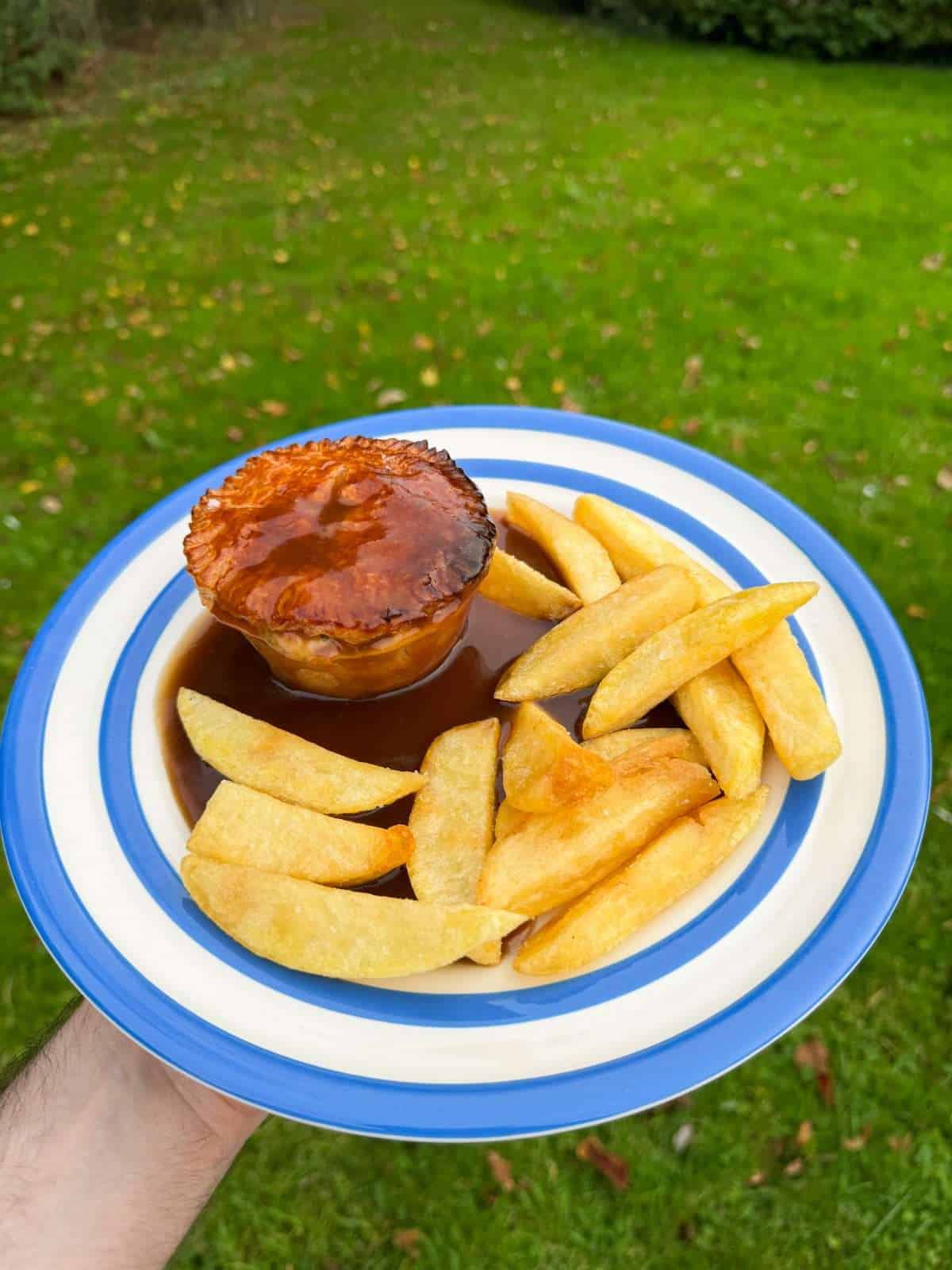 chicken pie chips & gravy