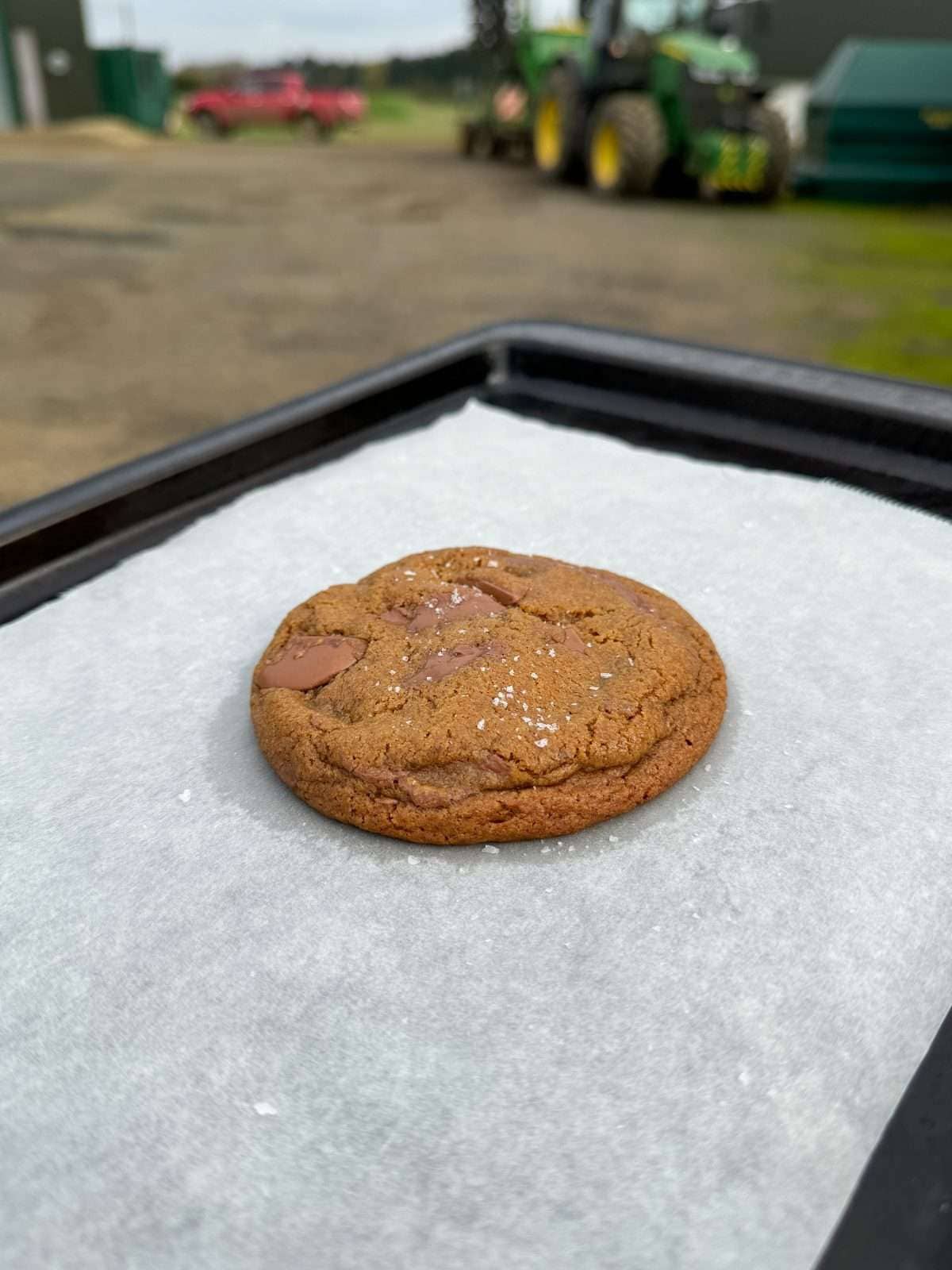 single chocolate chip cookie