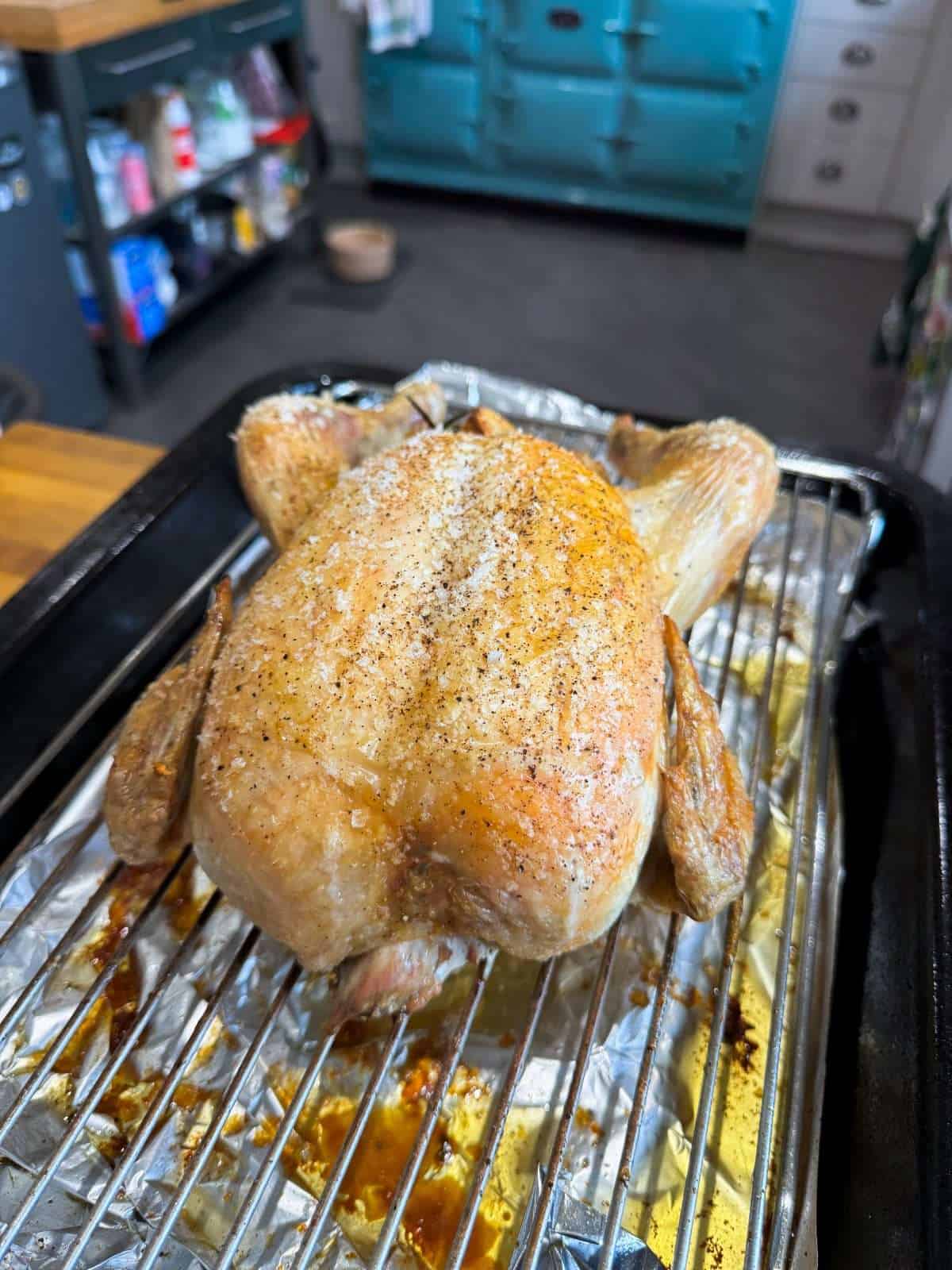 roasted whole chicken