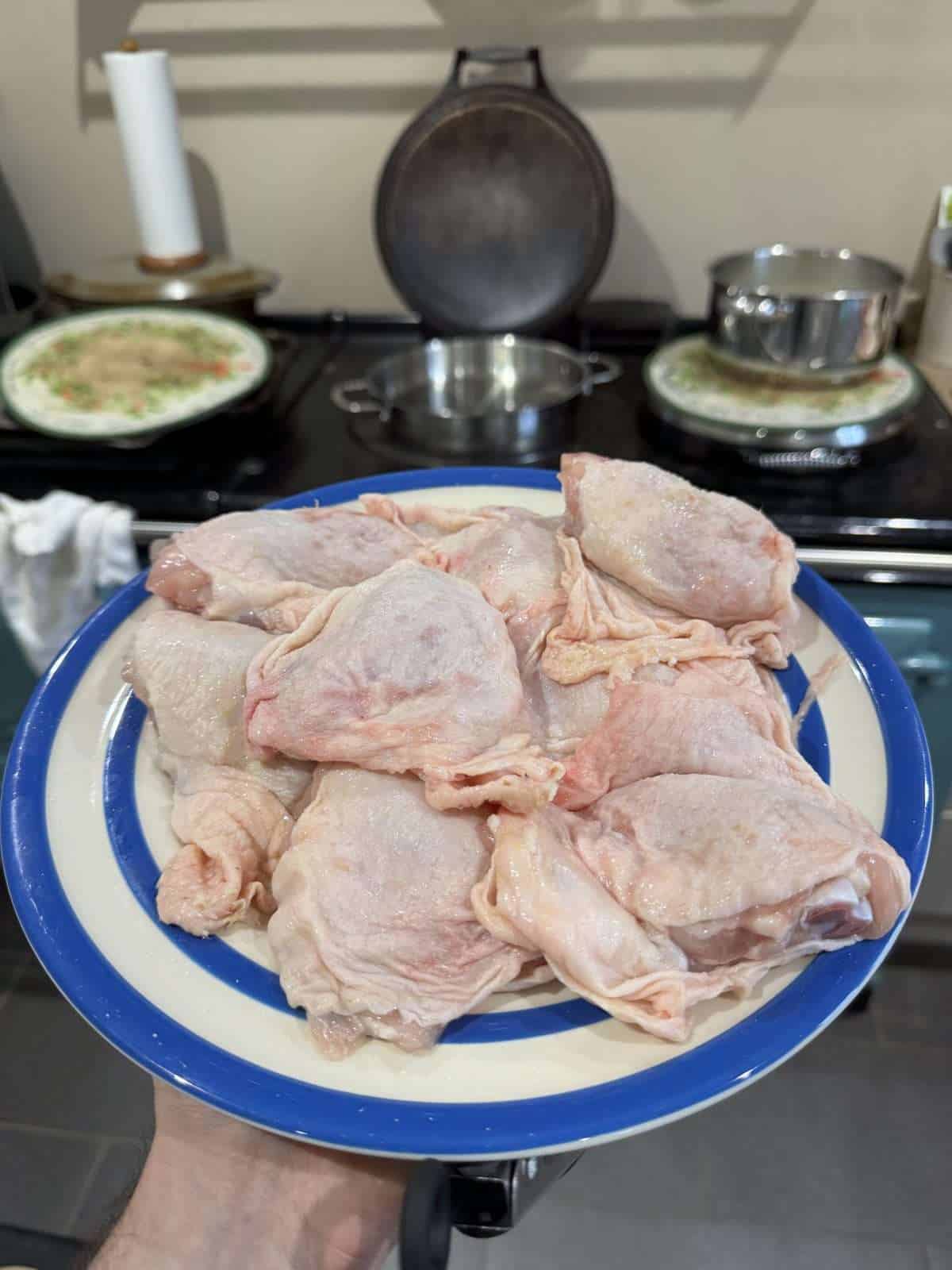 seasoned chicken thighs