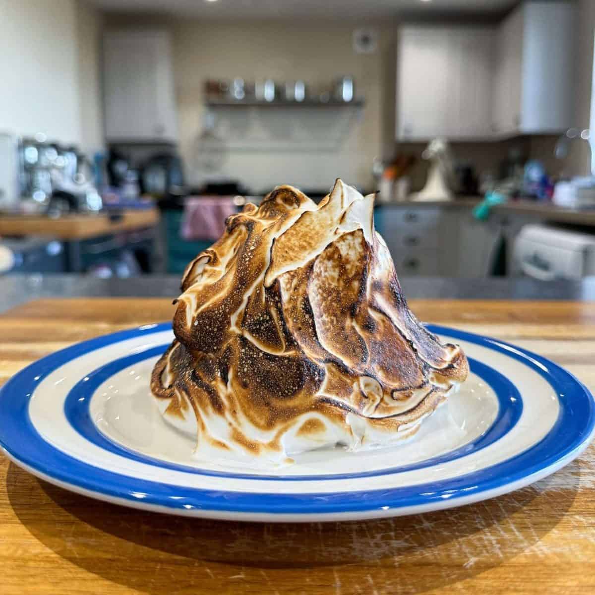 individual Christmas baked alaska