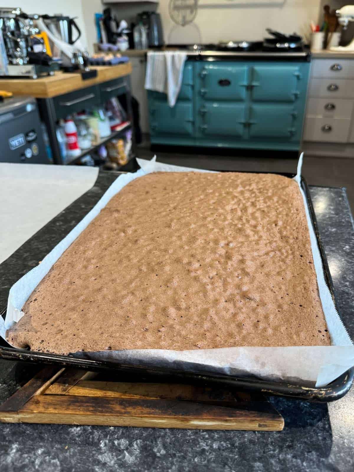 baked sponge for yule log