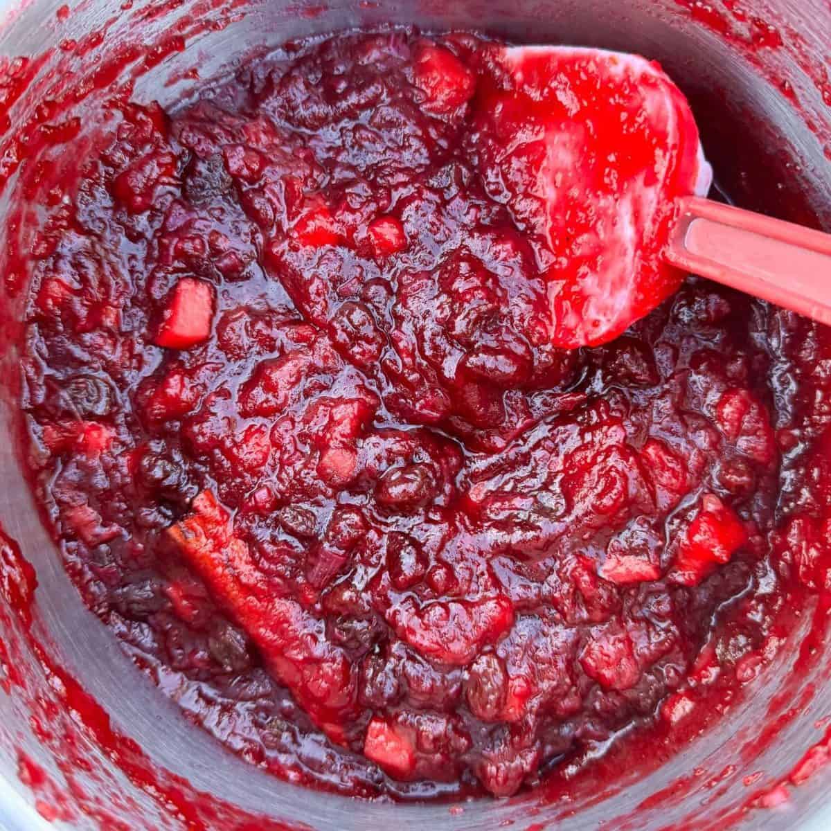 Christmas cranberry chutney