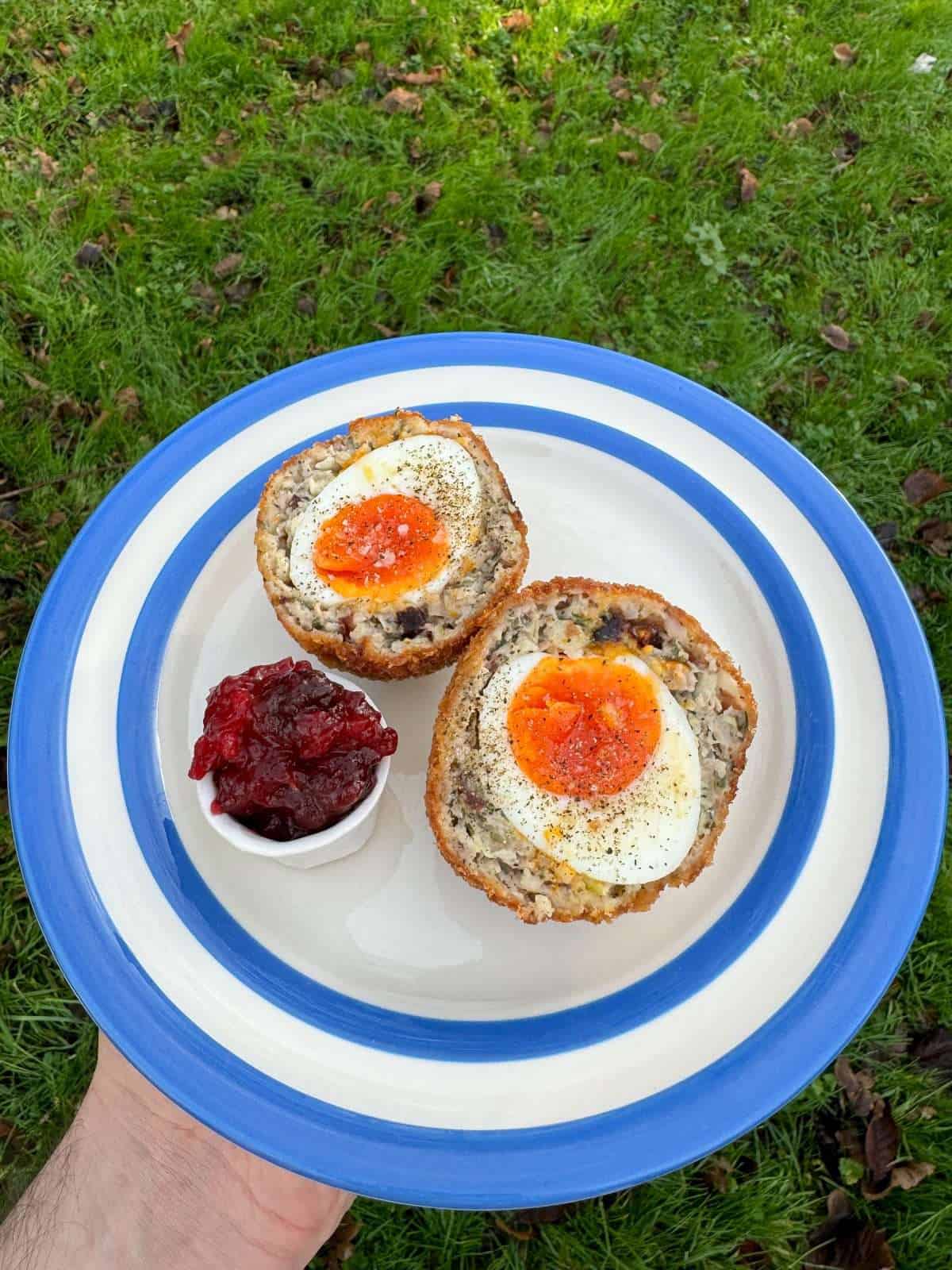 Christmas scotch egg with cranberry chutney