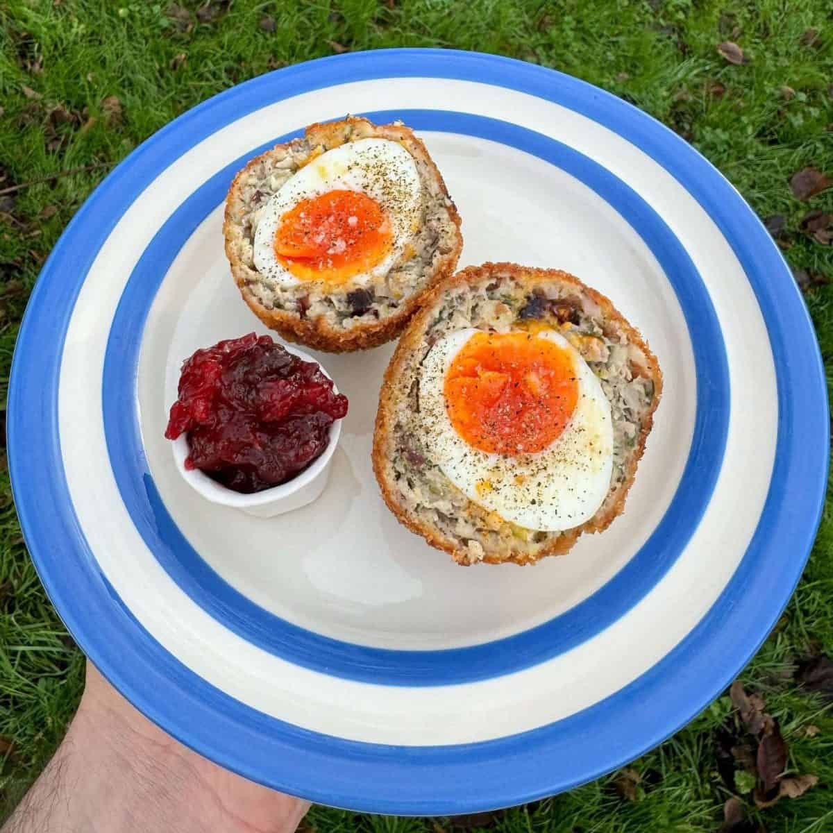sage & onion Christmas scotch egg