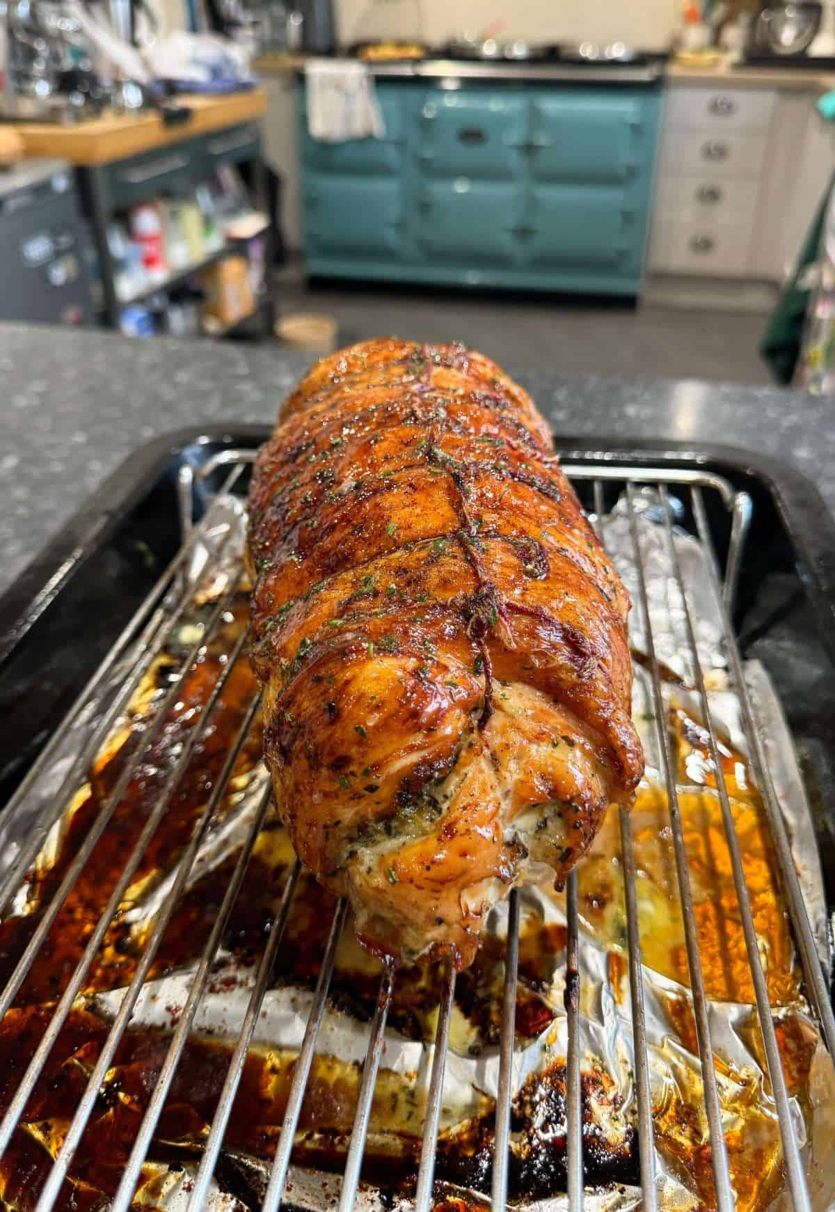 roasted rolled turkey breast