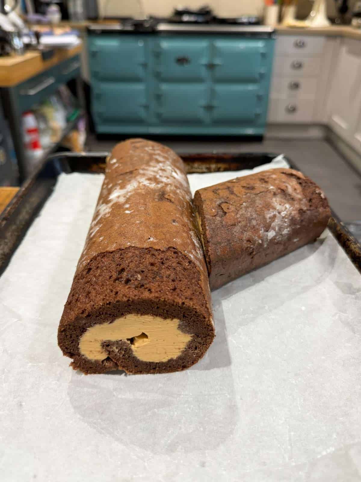 yule log arranged to make a branch