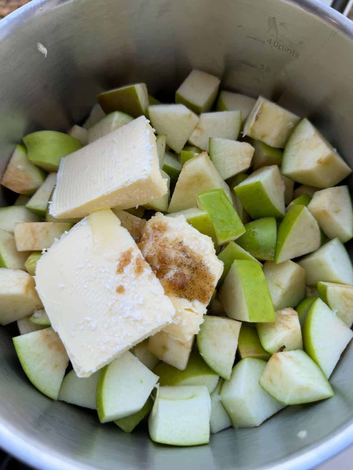 apple sauce ingredients