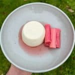 Greek yogurt panna cotta with poached rhubarb
