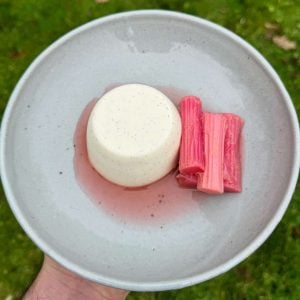Greek yogurt panna cotta with poached rhubarb