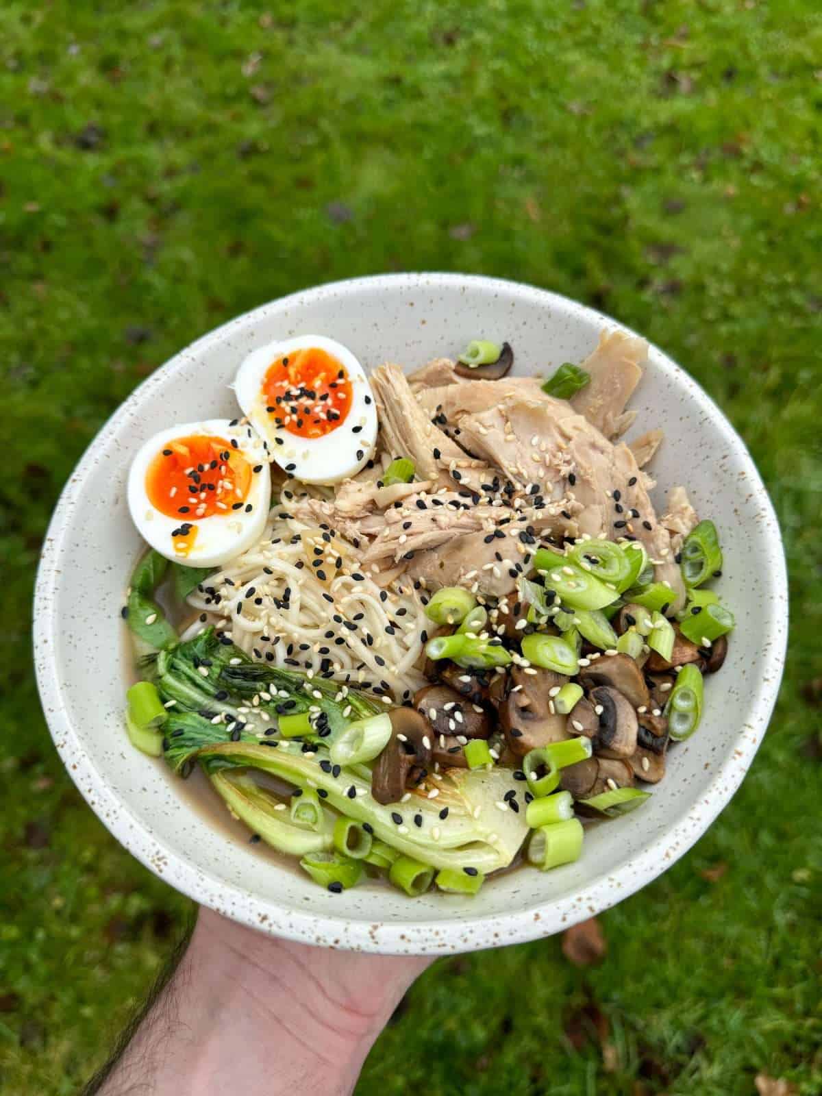 roast chicken udon noodle ramen
