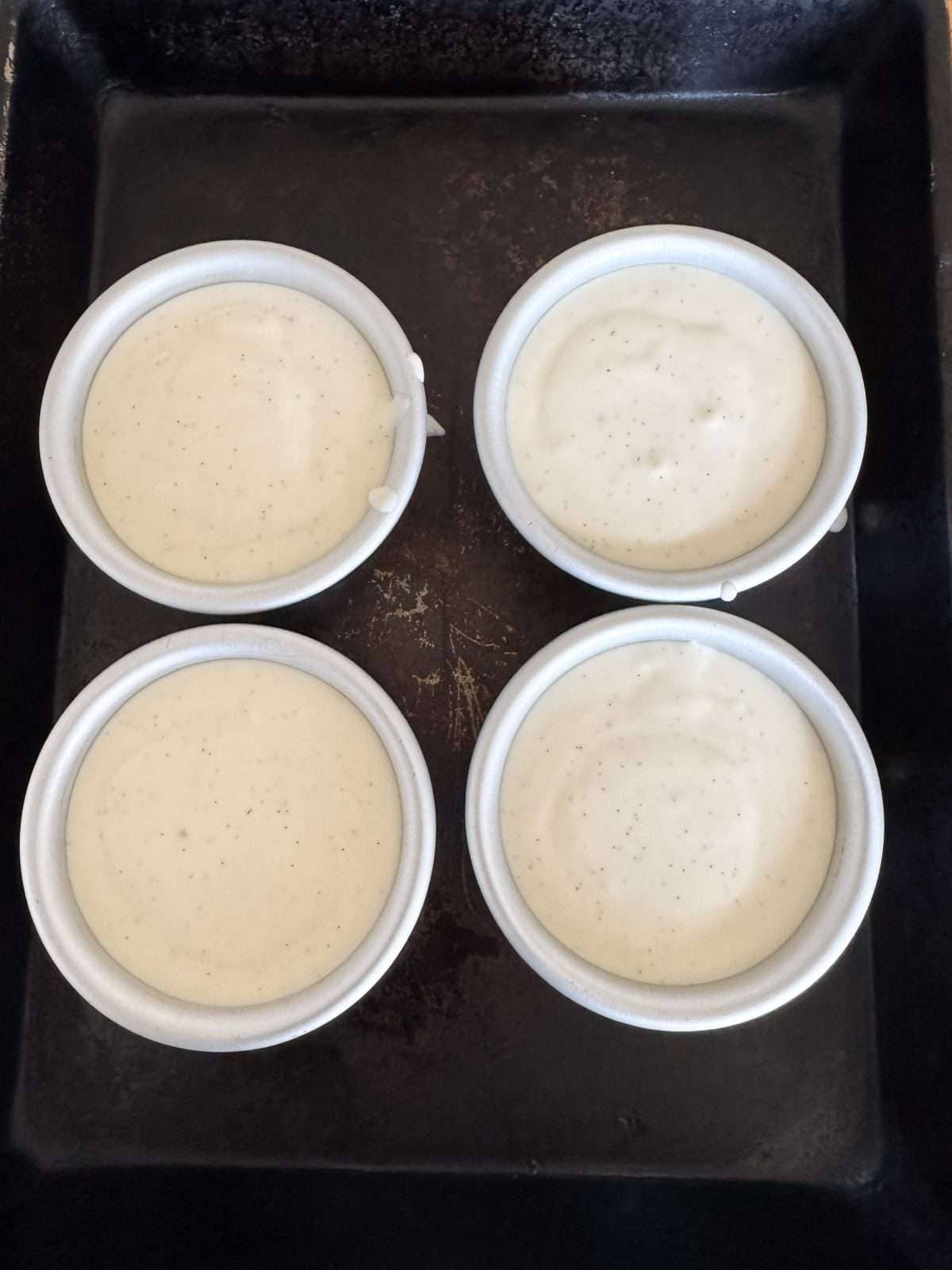 panna cotta moulds