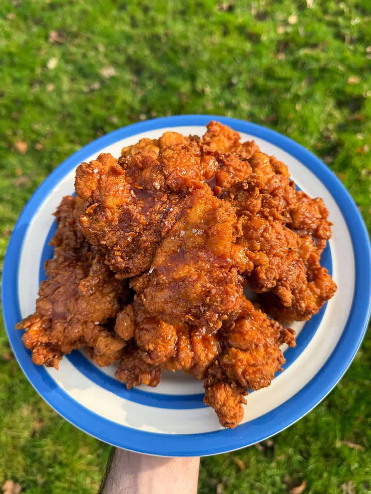 plate of fried chicken thighs