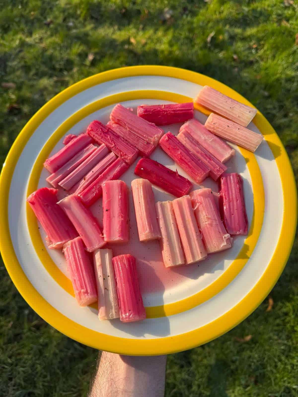 poached rhubarb stalks