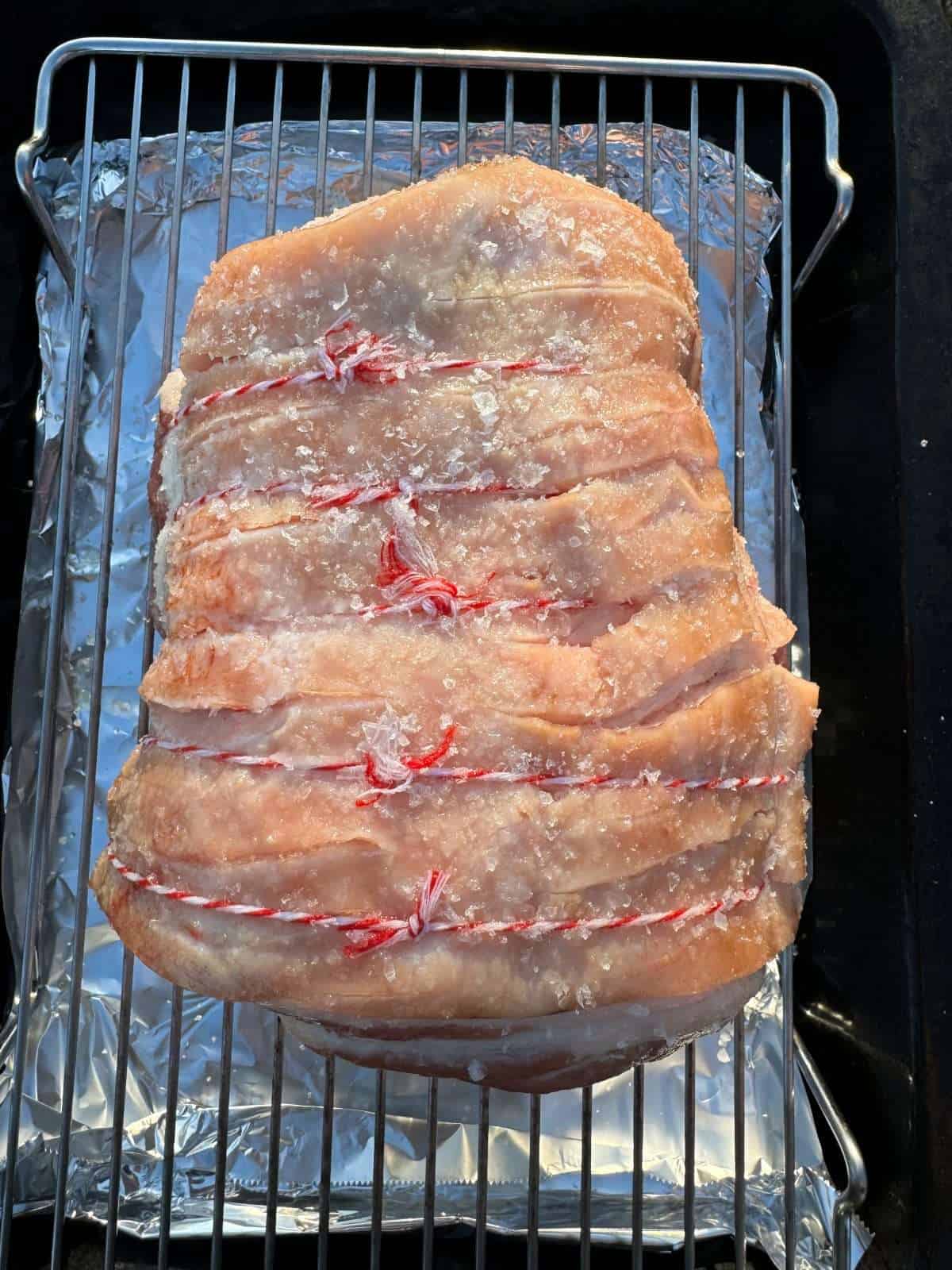 salted & scored pork skin