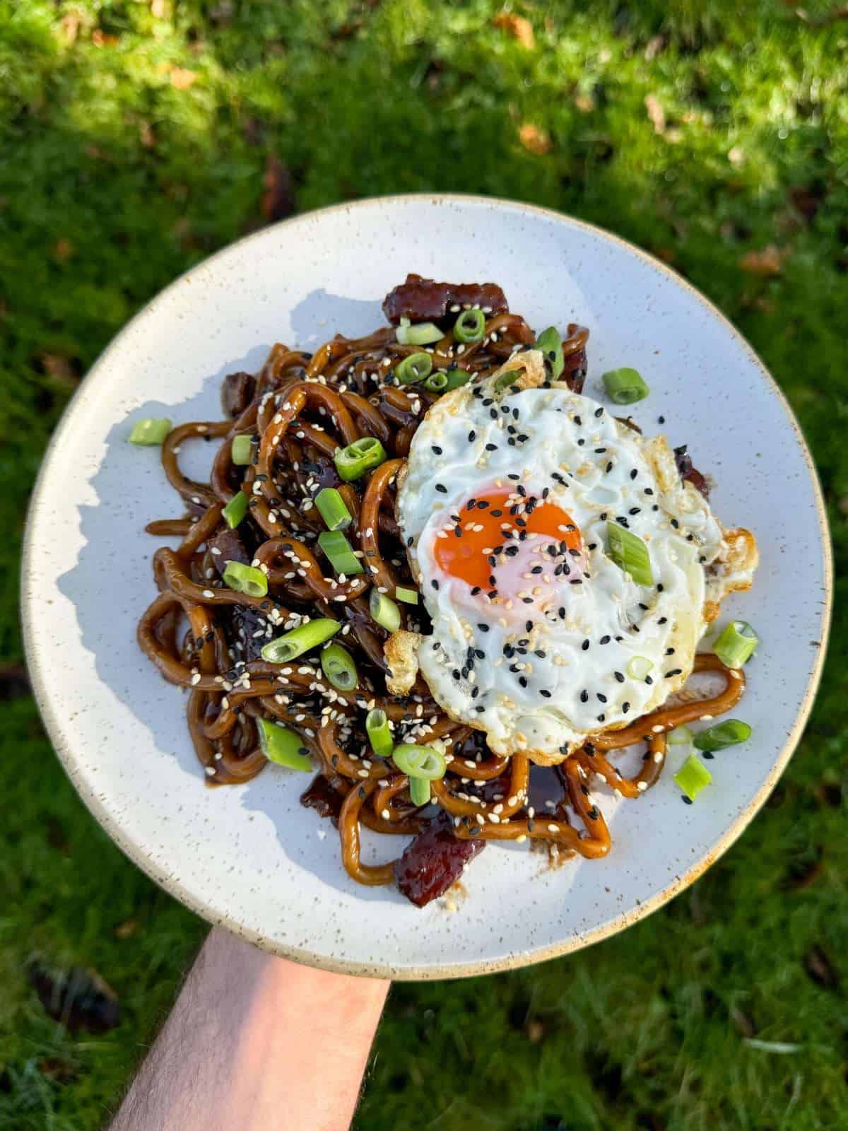 teriyaki pork noodles with crispy egg