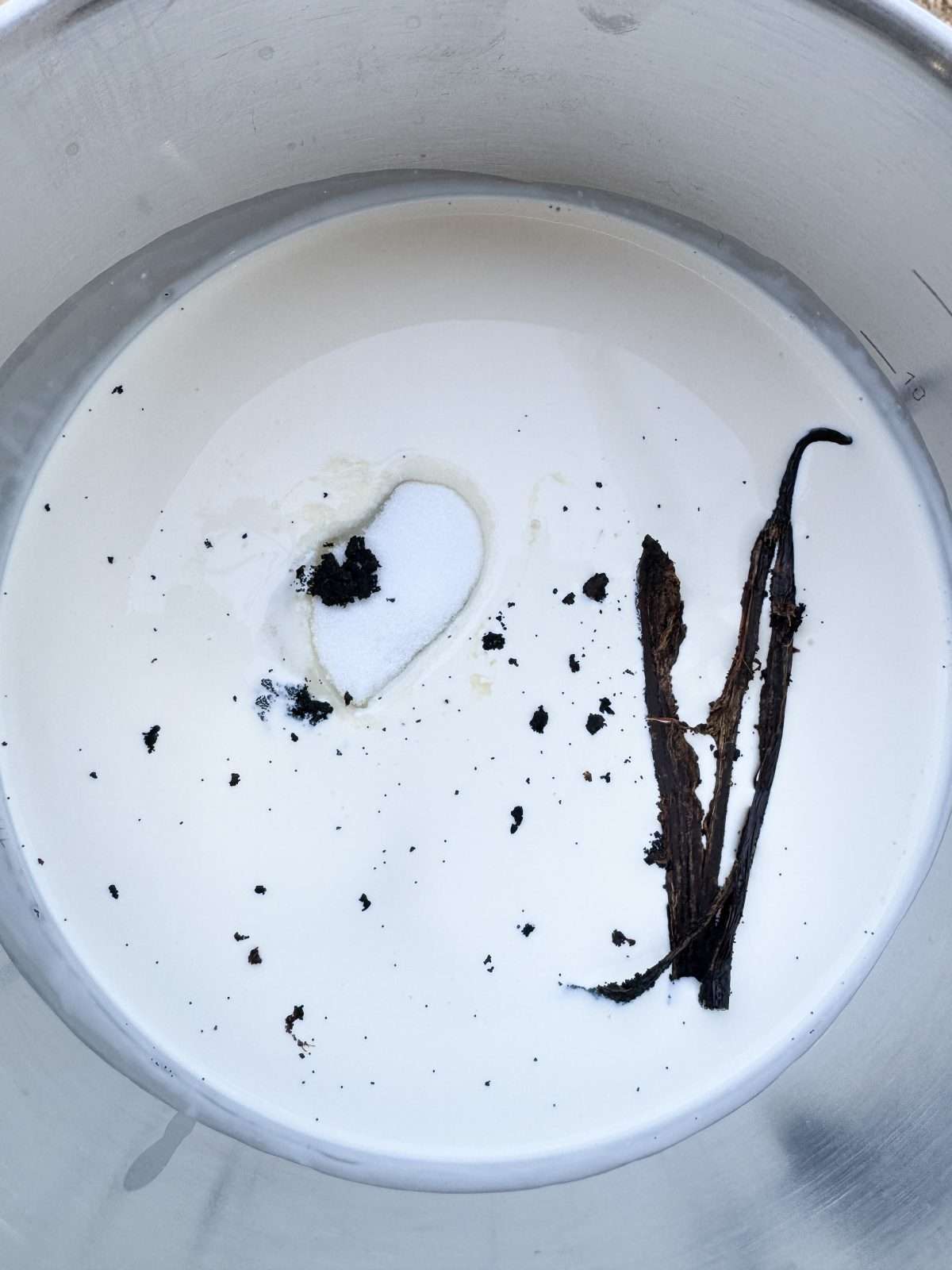 vanilla bean cream in pan