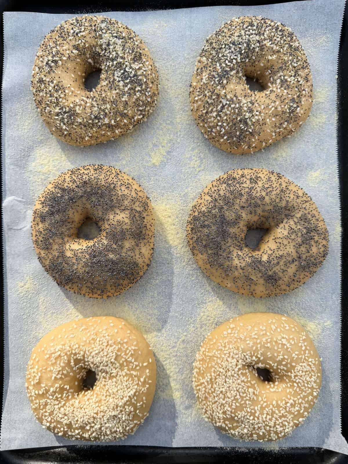 bagels with toppings