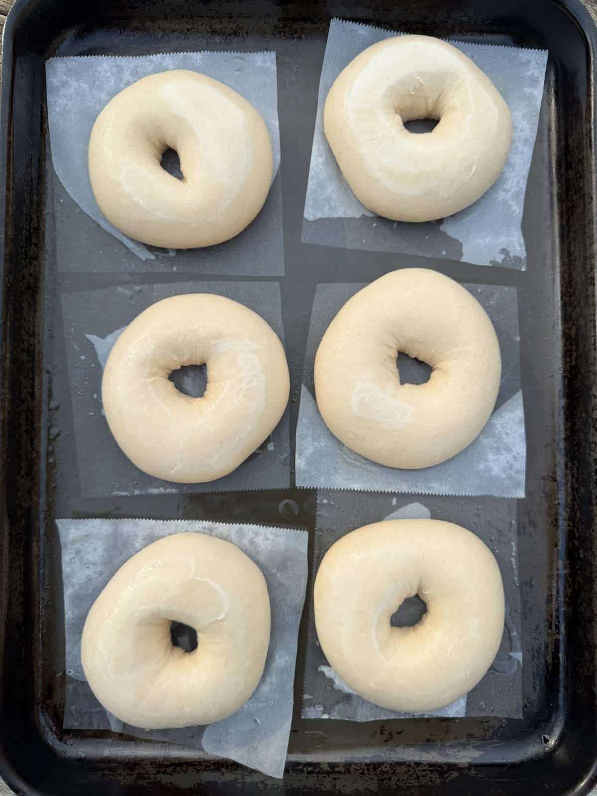 fermented bagels
